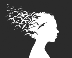 Les Nouv’L Expertes